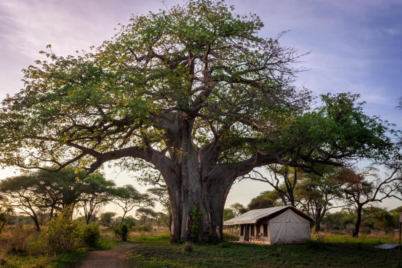 Baobab Tented Camp Kwa Kuchinia Exterior foto