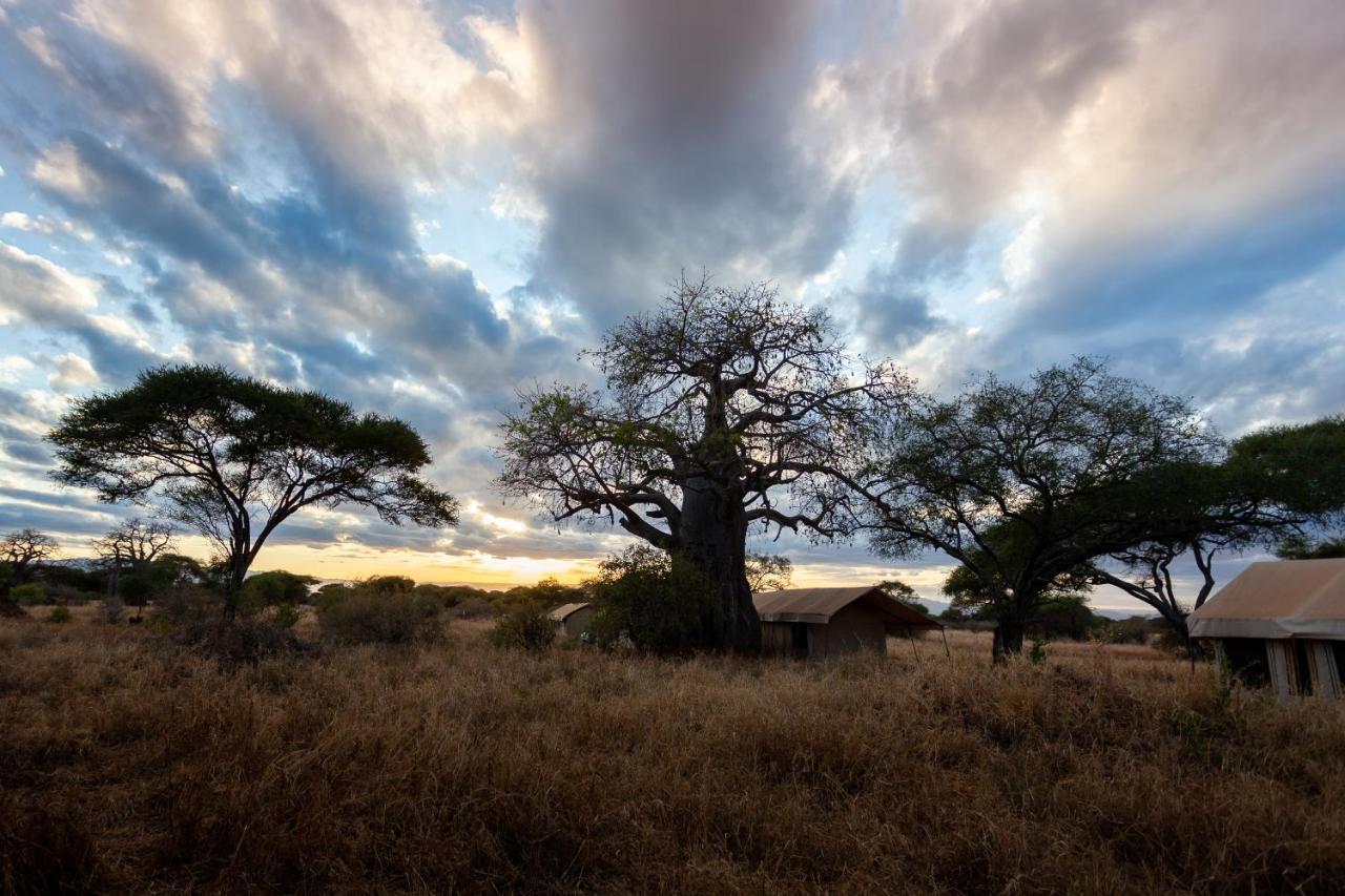 Baobab Tented Camp Kwa Kuchinia Exterior foto